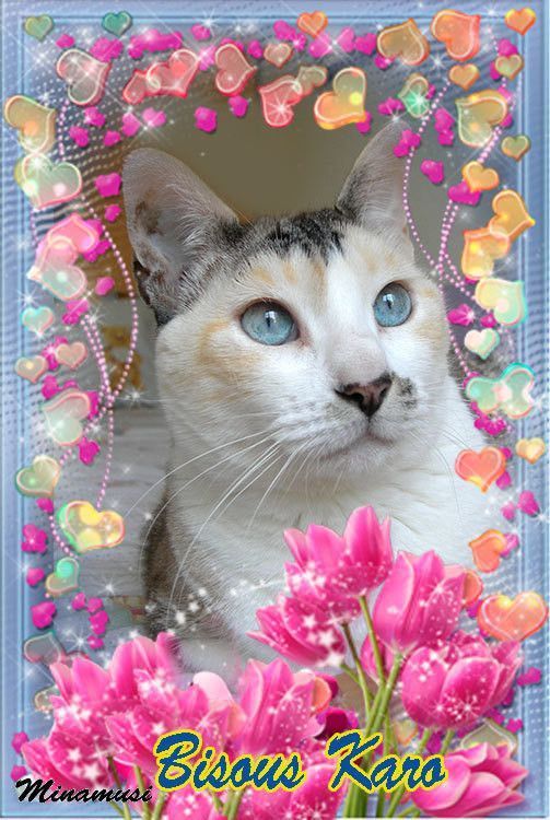 Kdo de mon amie Ana " Nube "