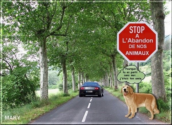 Création de Maryvonne - " Non à l'abandon "